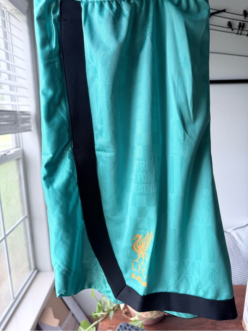 Nike Teal/Aqua Dri-FIT Athletic Shorts with Gold Waistband Accent